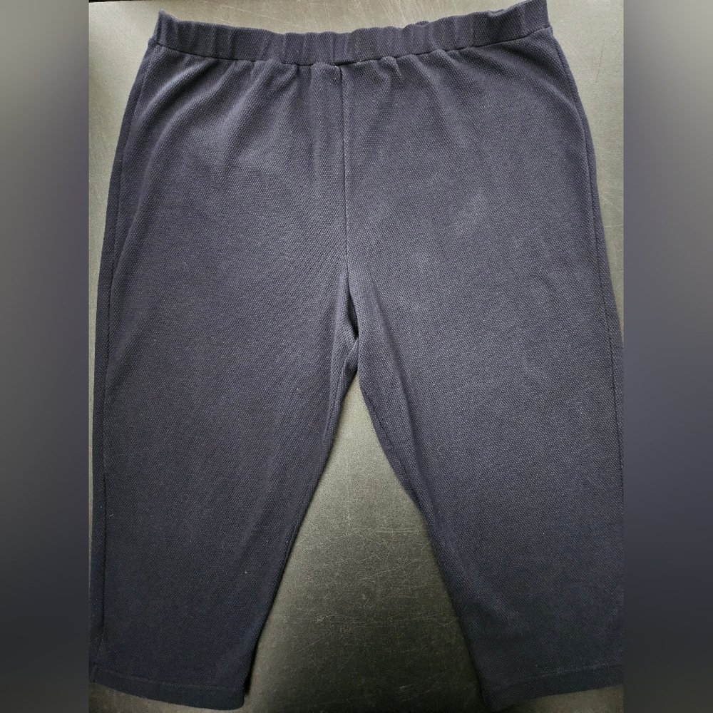 Vintage - Delta Burke NWOT Navy Stretch Capris - Size 2X